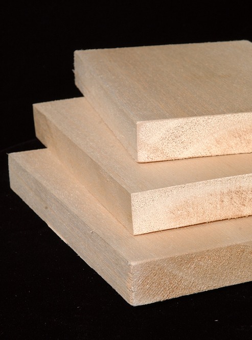 世界最轻木材巴沙木：轻如鸿毛却撑起风电产业半边天(图1)