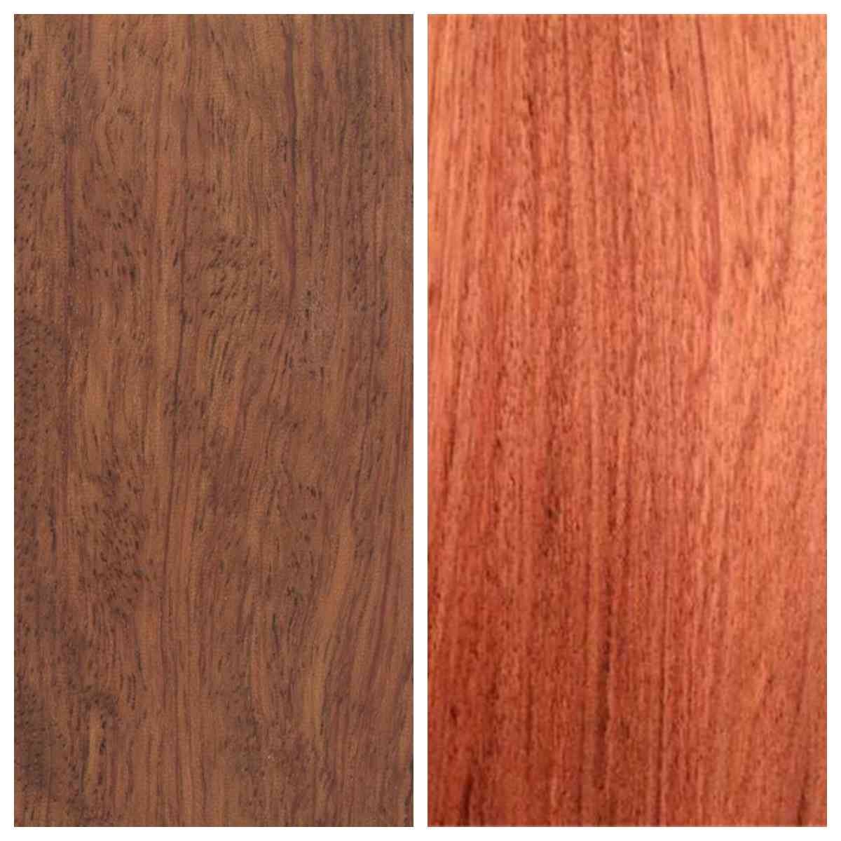 一文分清大巴花与小巴花!核心区别解析,采购避坑必看(图1) 一文分清大巴花与小巴花!核心区别解析,采购避坑必看(图1)